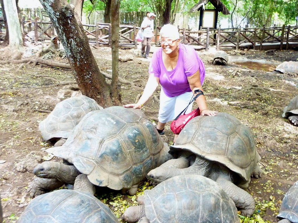 Mignon with turtles